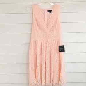 Lulu's NEW WITH TAGS In This Moment Blush Pink Lace Sleeveless Skater Dress M